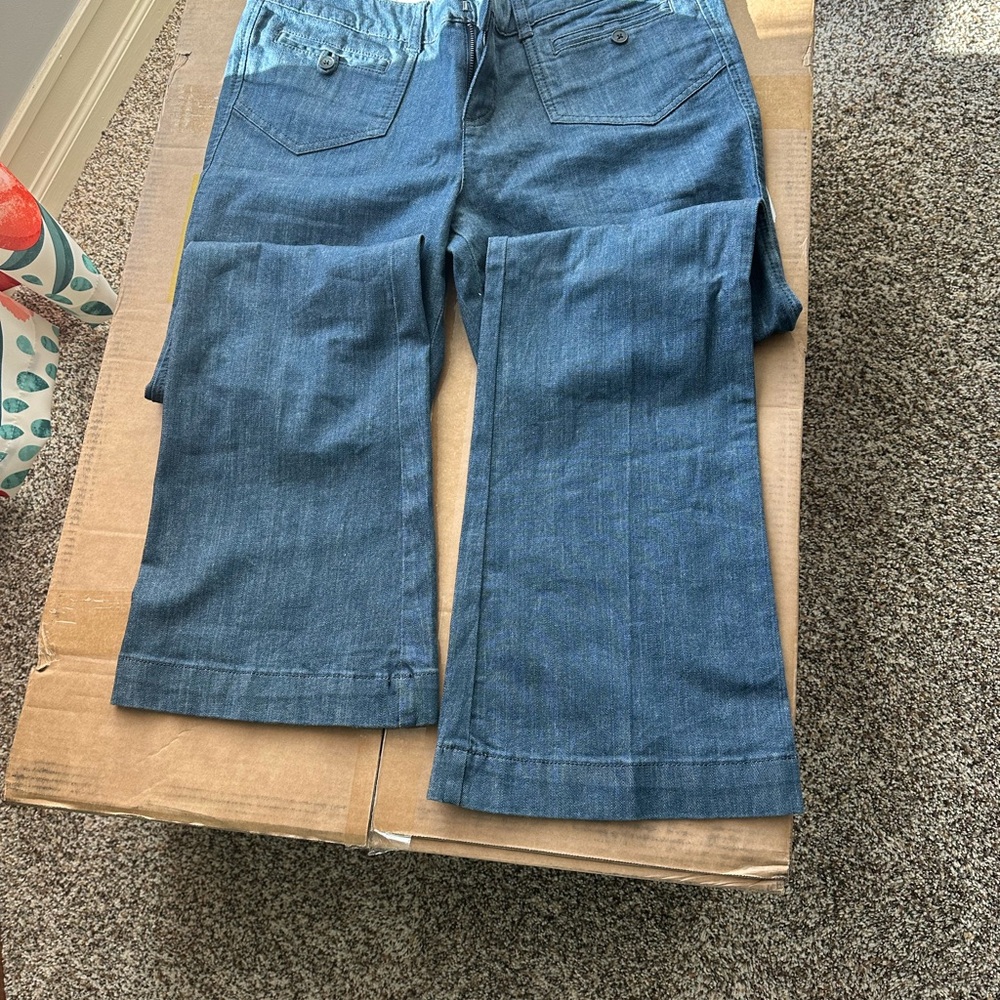 The Limited Women's Flare Jeans in Blue